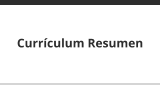 Currículum Resumen